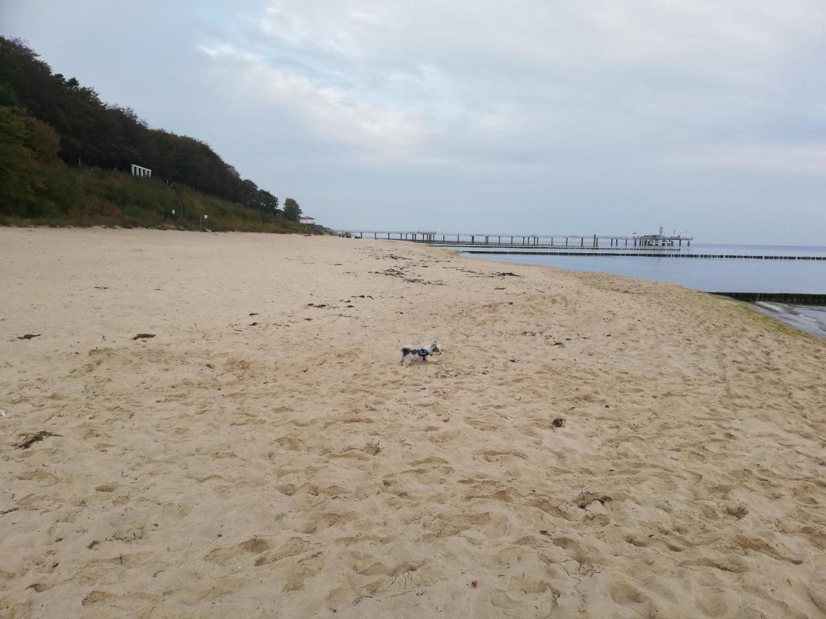 Ostseetraum 코세로우 외부 사진